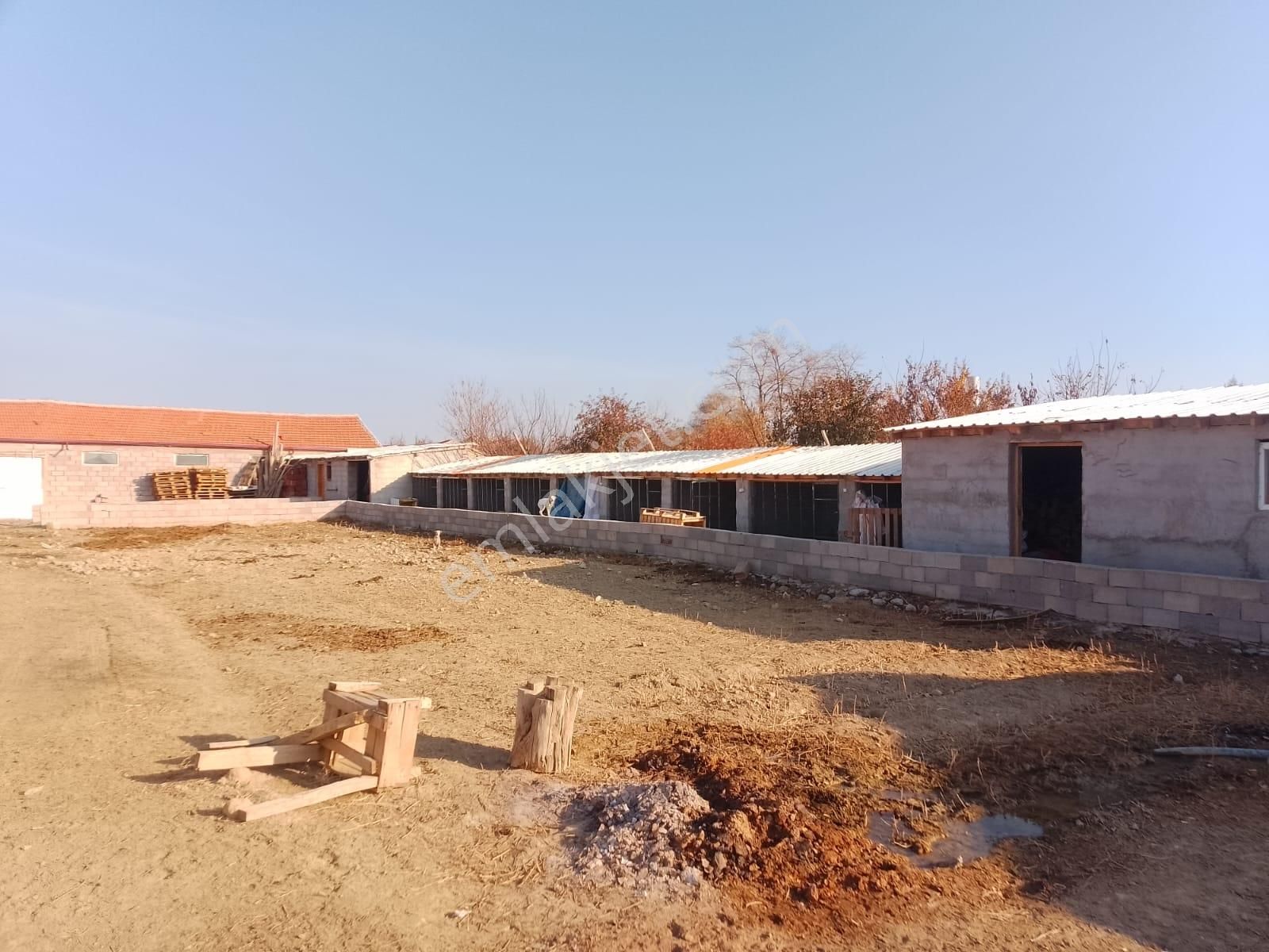 Akçay Emlak'tan Akşehir Ortaköy Mahallesinde Kurulu Düzende Satılık Çiftlik - Görsel 31