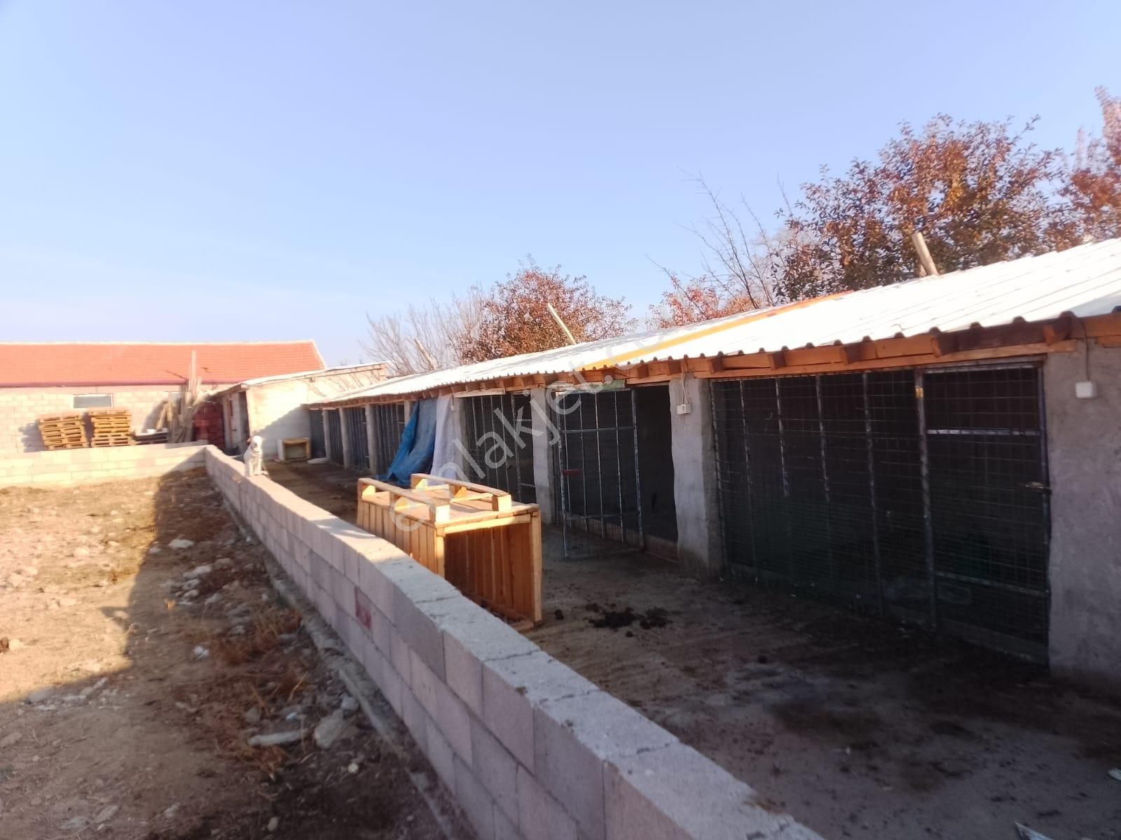 Akçay Emlak'tan Akşehir Ortaköy Mahallesinde Kurulu Düzende Satılık Çiftlik - Görsel 21