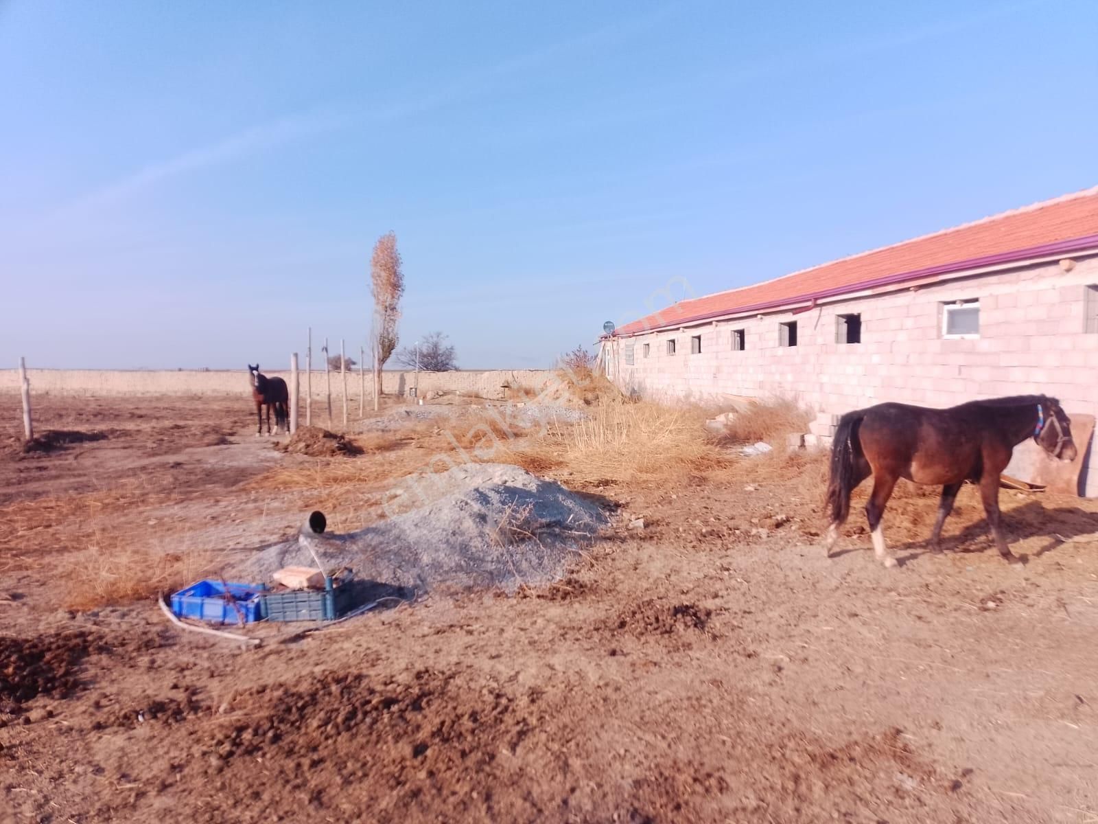 Akçay Emlak'tan Akşehir Ortaköy Mahallesinde Kurulu Düzende Satılık Çiftlik - Görsel 11