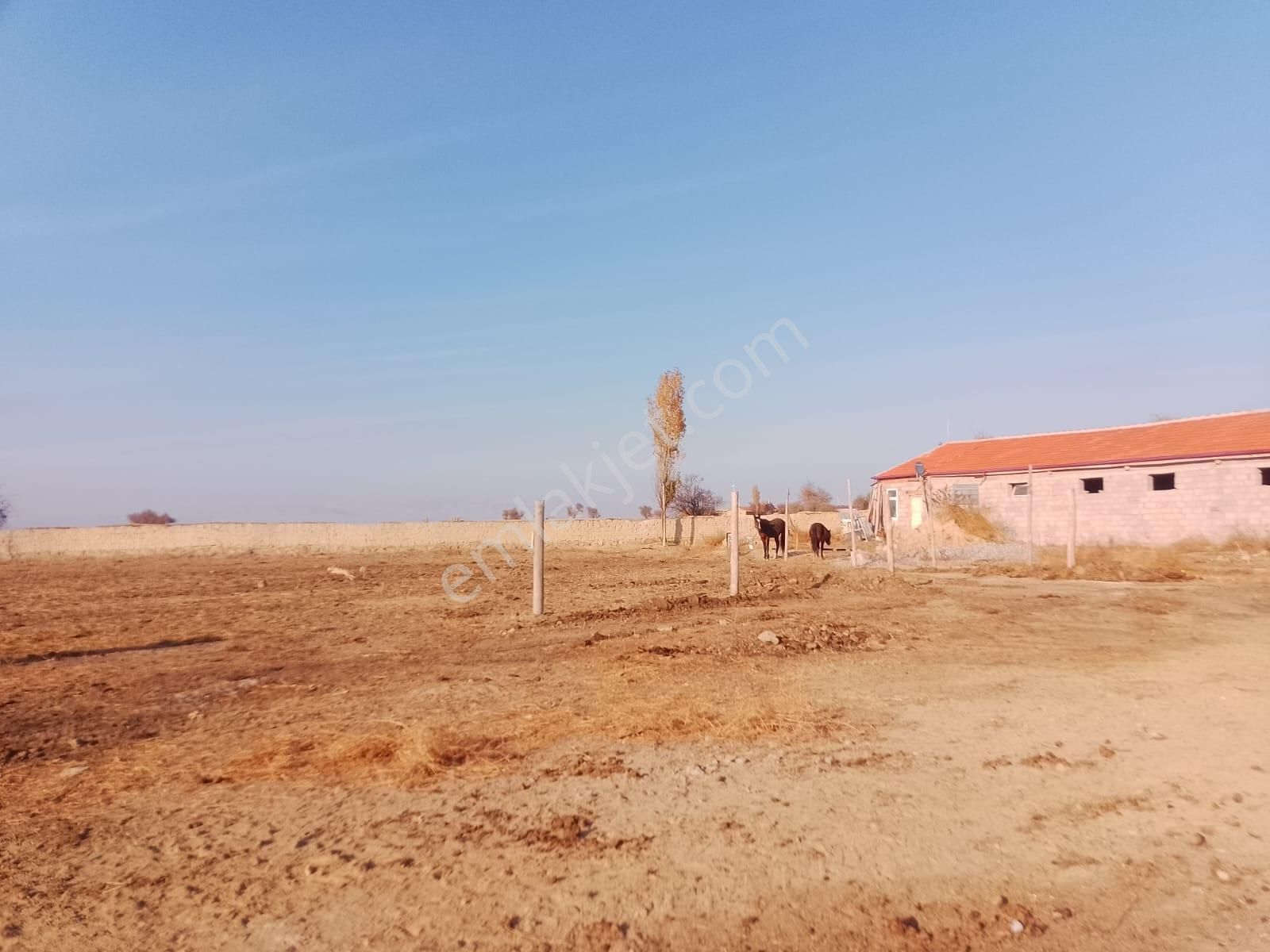 Akçay Emlak'tan Akşehir Ortaköy Mahallesinde Kurulu Düzende Satılık Çiftlik - Görsel 18