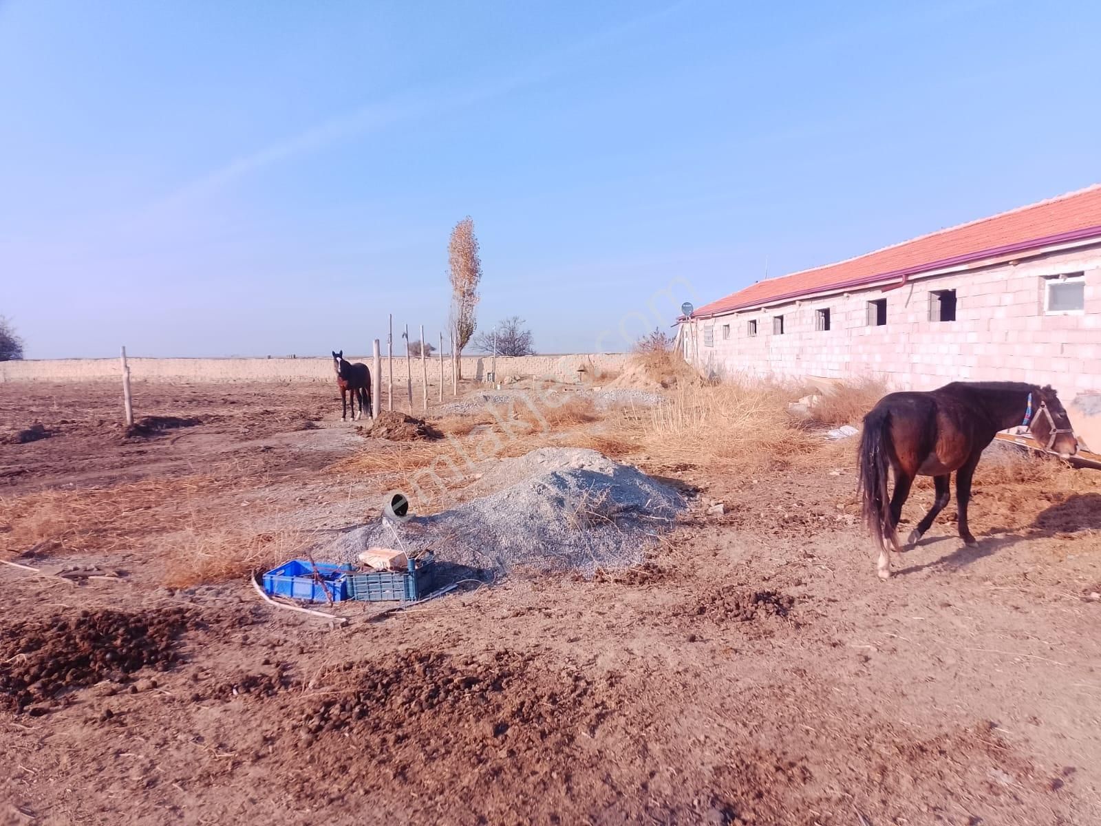 Akçay Emlak'tan Akşehir Ortaköy Mahallesinde Kurulu Düzende Satılık Çiftlik - Görsel 19
