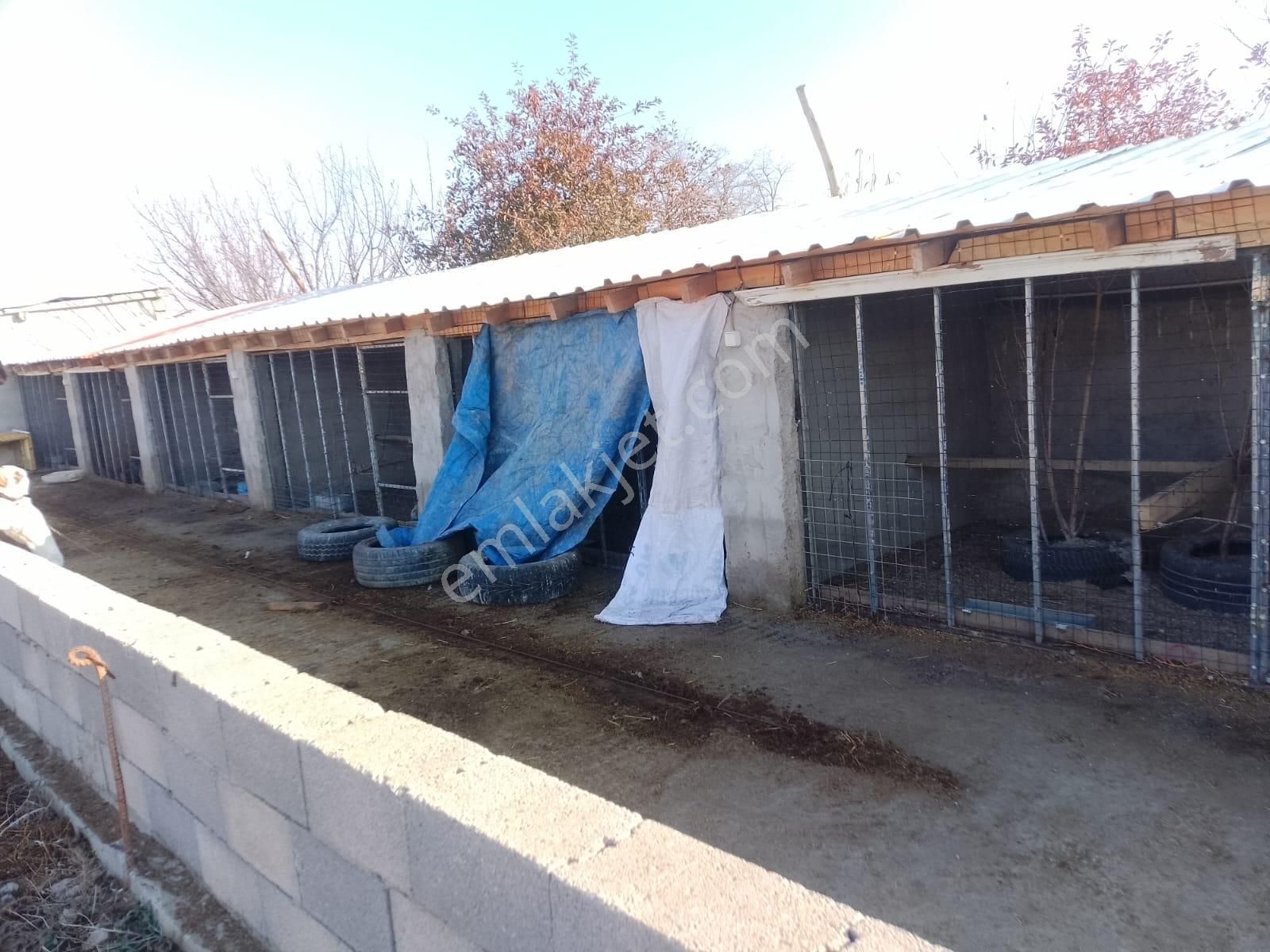 Akçay Emlak'tan Akşehir Ortaköy Mahallesinde Kurulu Düzende Satılık Çiftlik - Görsel 24