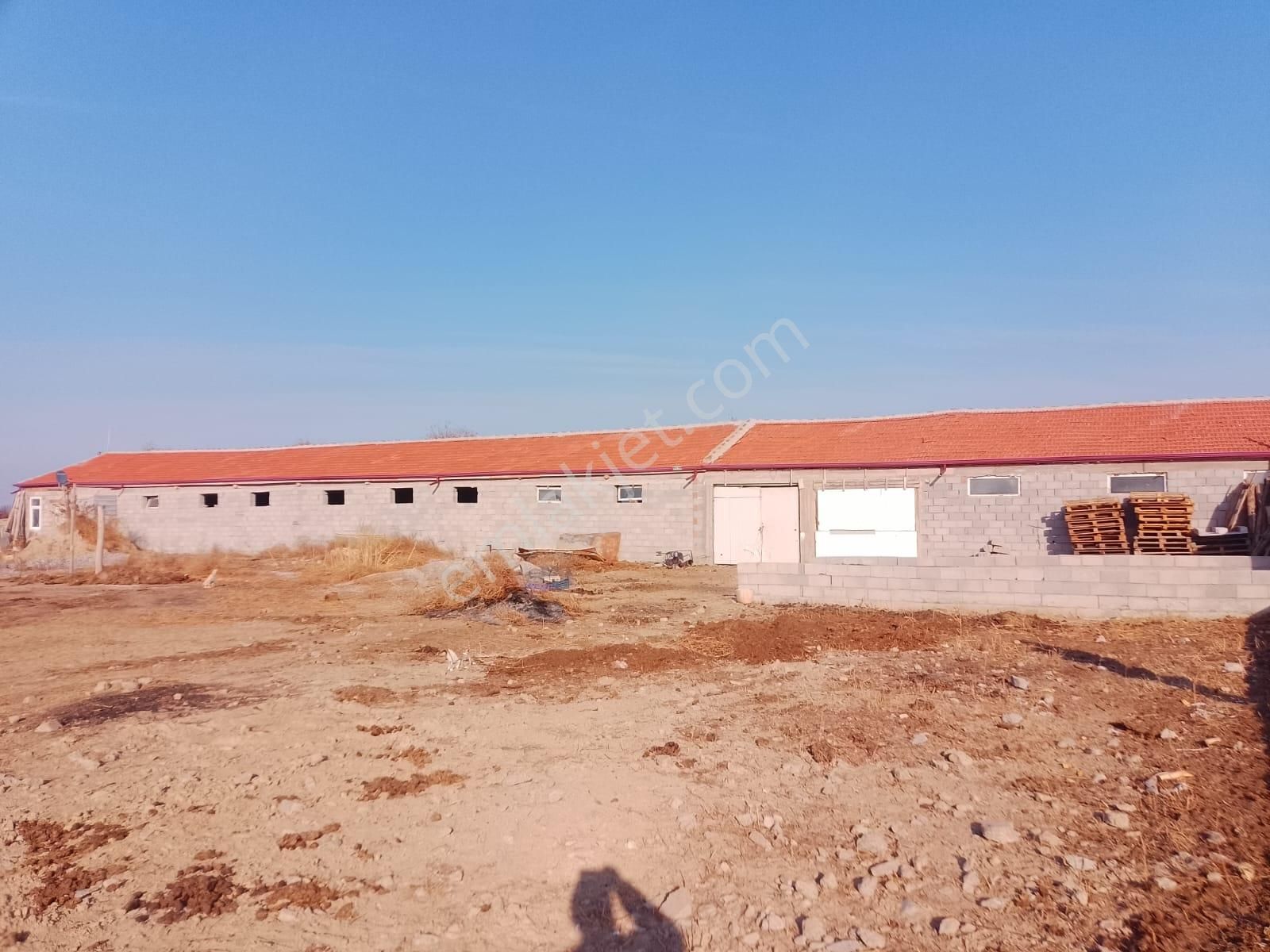 Akçay Emlak'tan Akşehir Ortaköy Mahallesinde Kurulu Düzende Satılık Çiftlik - Görsel 23