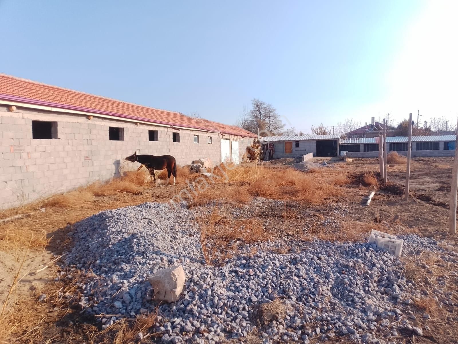 Akçay Emlak'tan Akşehir Ortaköy Mahallesinde Kurulu Düzende Satılık Çiftlik - Görsel 4