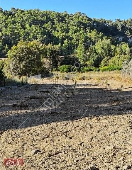 Aksu Yeşilkaraman Satılık Tarla Aksu YeşilKaraman Yatırımlık Tarla