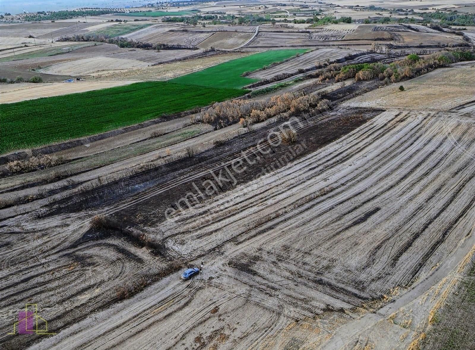 Edirne Merkez Orhaniye Köyü Satılık Tarla Edirne Merkez Orhaniye Köyünde 7550m Müstakil Tarla