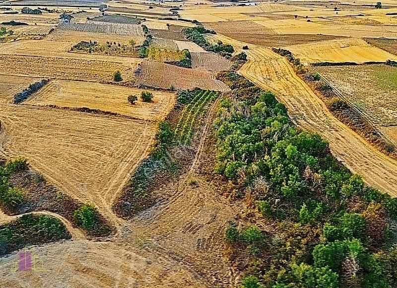 Edirne Merkez Orhaniye Köyü Satılık Tarla Edirne Merkez Orhaniye Köyüne 1,5 Km Mesafede 754 M2 Tarla