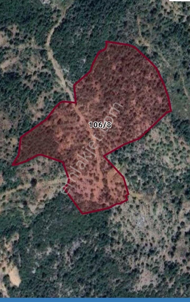 Gazipaşa Yenigüney Satılık Tarla  YENİGÜNEY GAZİPAŞA ALANYA 37.733M2 SATILIK TARLA 3.800.000TL