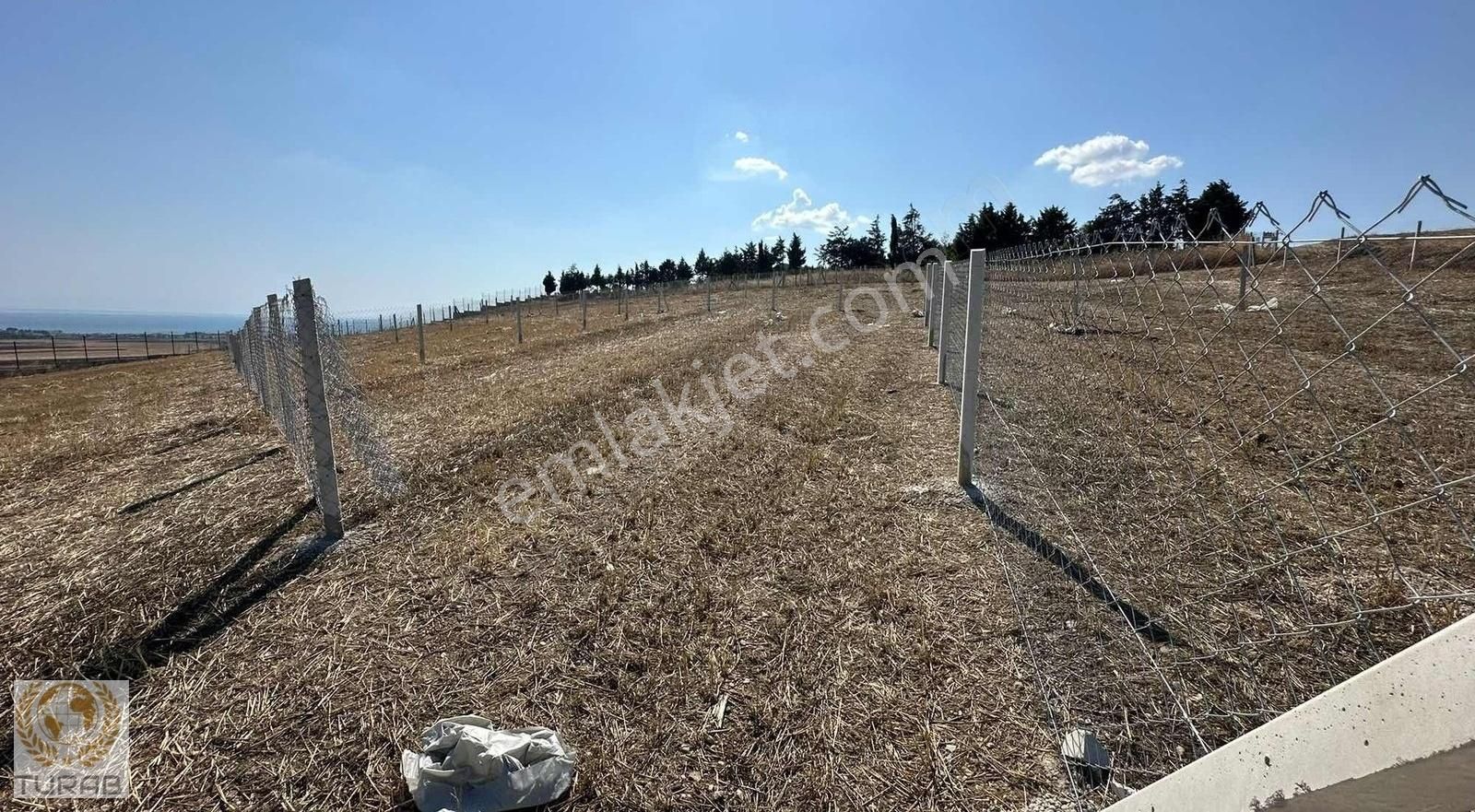 Lüleburgaz Celaliye Köyü Satılık Tarla Tek Tapu Köyüstü