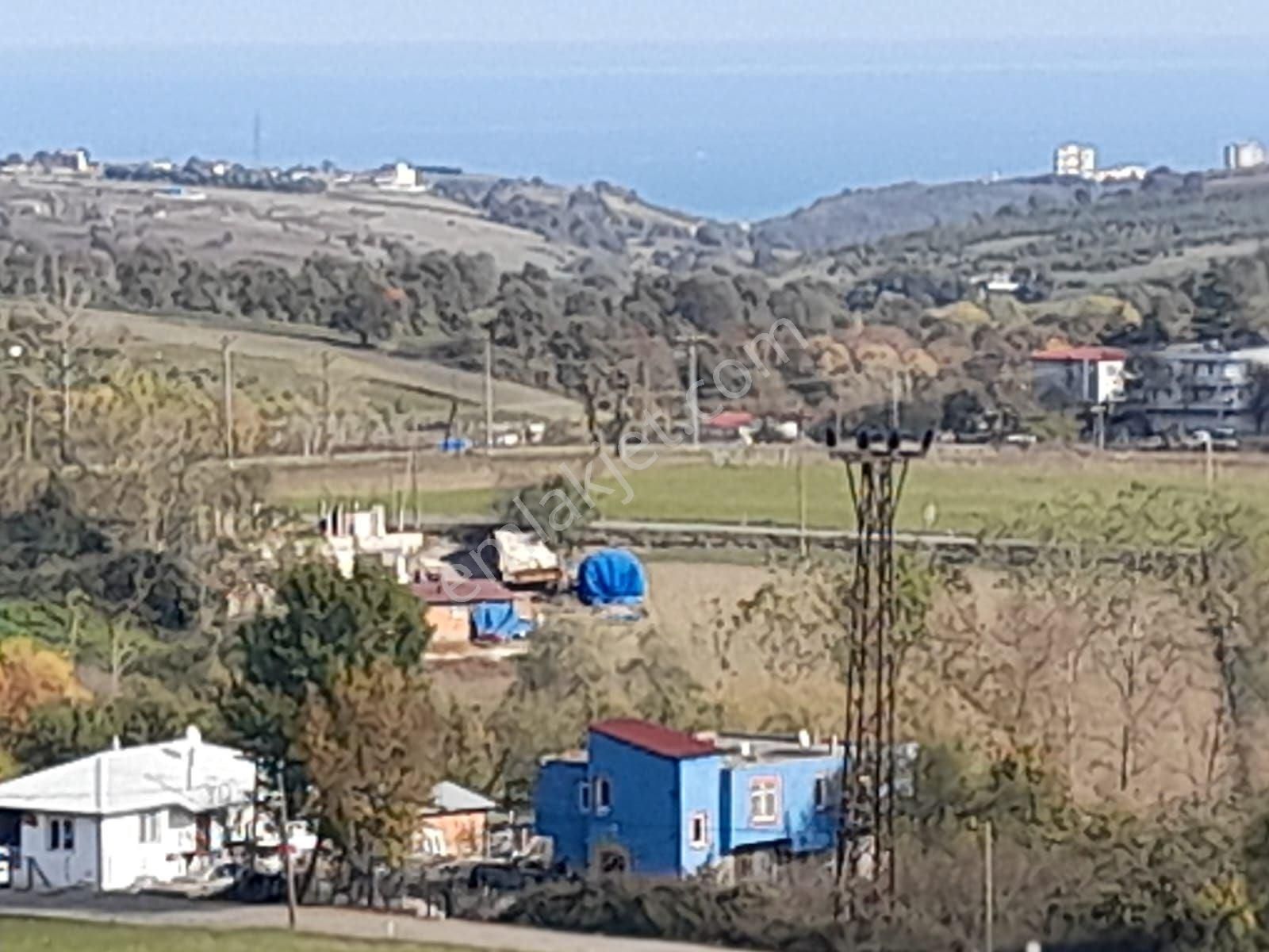 Samsun Sarıtaş Köyü'nde 6112 M2 Doğa Ve Deniz Manzaralı , Şehrin Hemen Yanında, Satılık Arazi! - Görsel 8