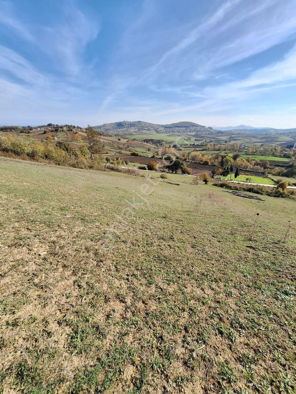 Samsun Sarıtaş Köyü'nde 6112 M2 Doğa Ve Deniz Manzaralı , Şehrin Hemen Yanında, Satılık Arazi!