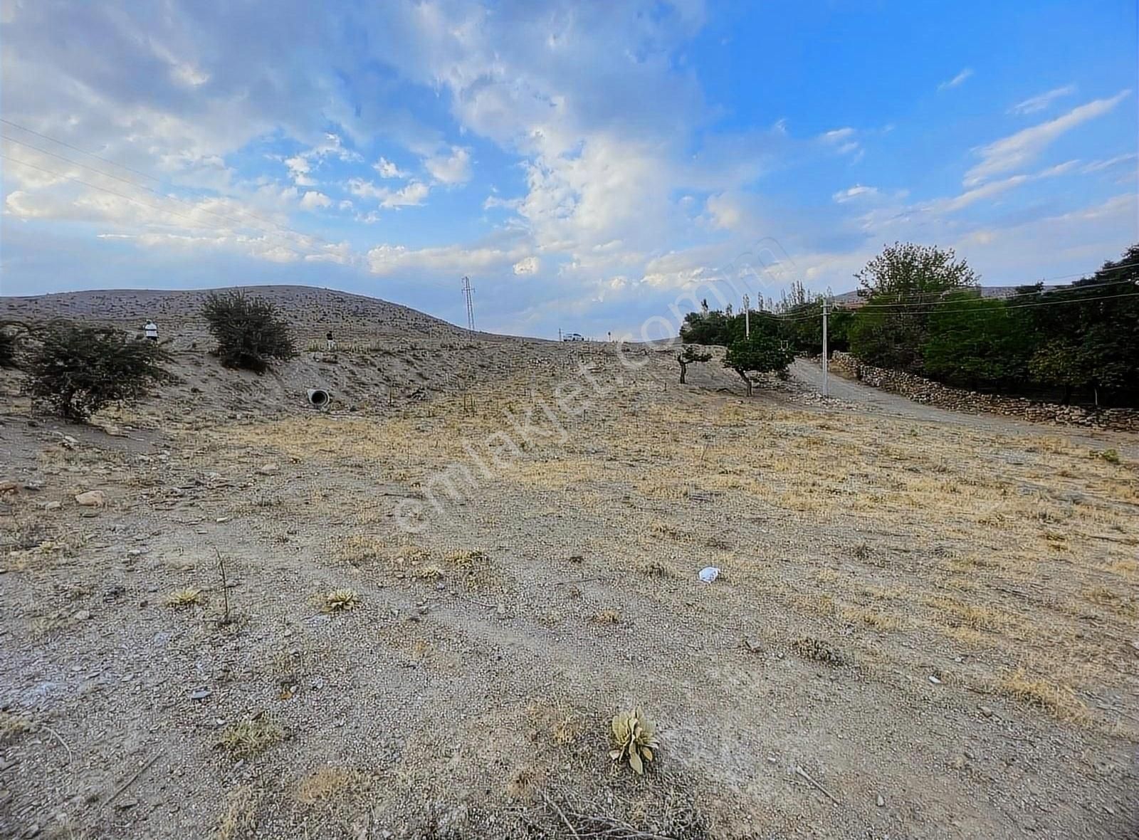 Selçuklu Ardıçlı Satılık Bağ & Bahçe ARDIÇLIDA YOL KENARI SATILIK BAHÇE