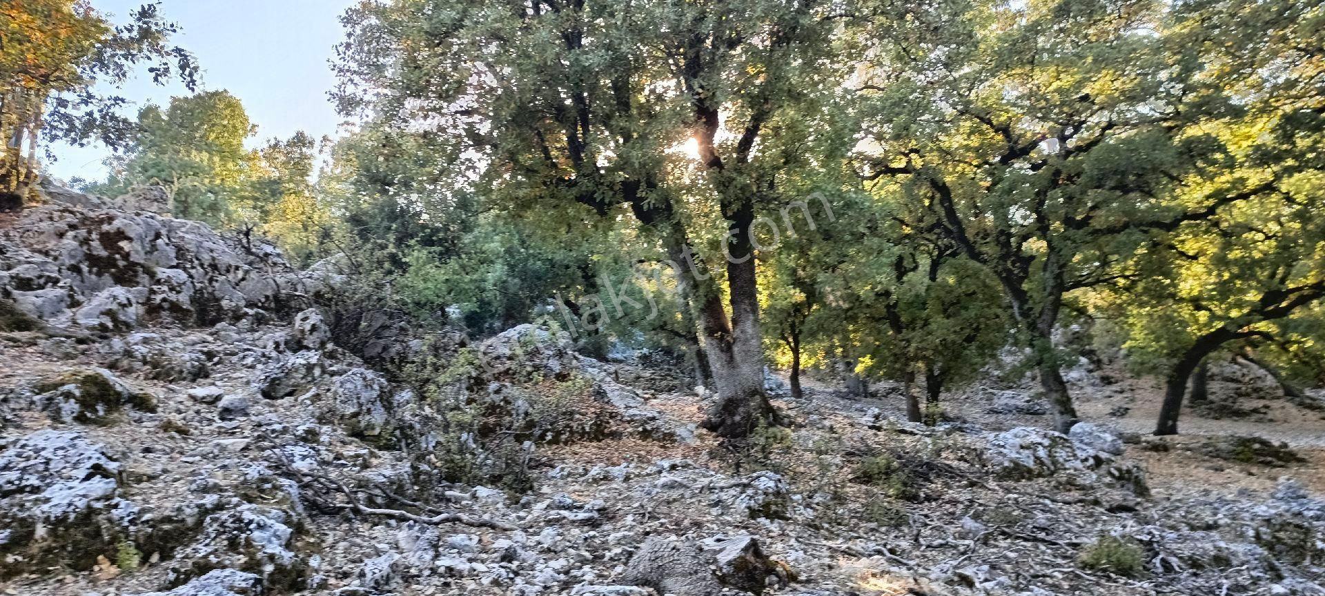 Demre Belören Satılık Tarla Antalya Demre Emlaktan Satılık Arsa