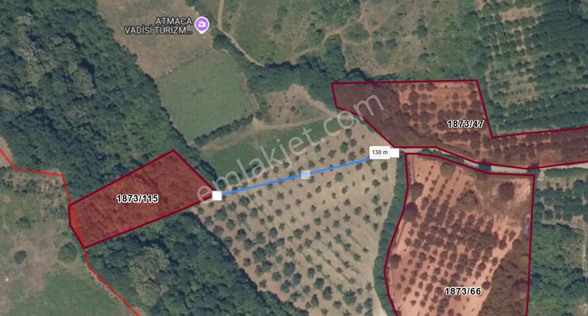 Roma' Dan Ortaköy De Satılık Tarla - Görsel 6