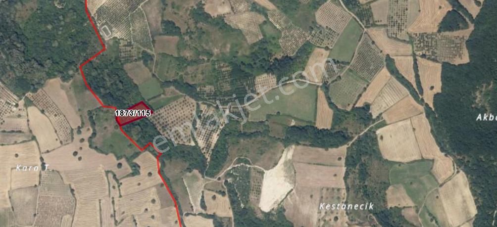 Roma' Dan Ortaköy De Satılık Tarla - Görsel 5