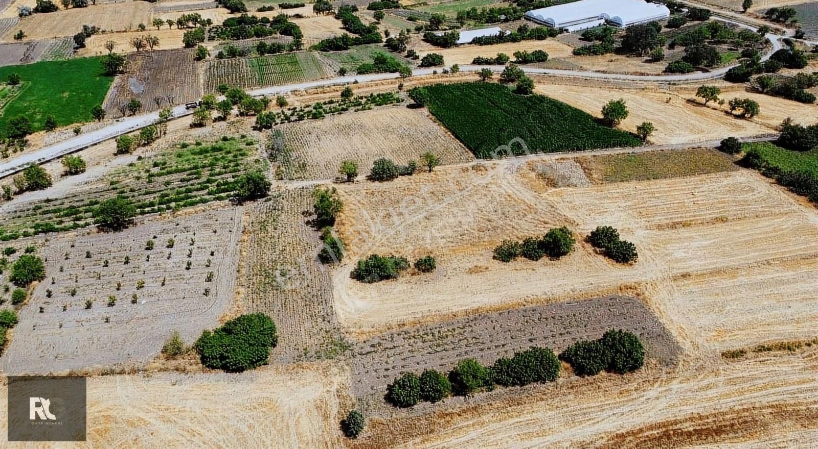 Kepsut Hotaşlar Satılık Tarla Göner Gayrimenkulden Kepsut Hotaşlarda 1600 M2 Tarla