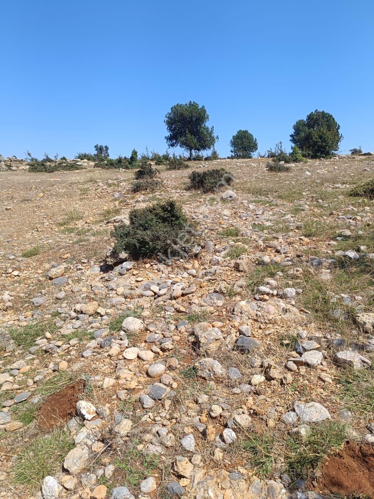 Çamlıyayla Kale Satılık Bağ & Bahçe Çamlıyayla satılık arsa