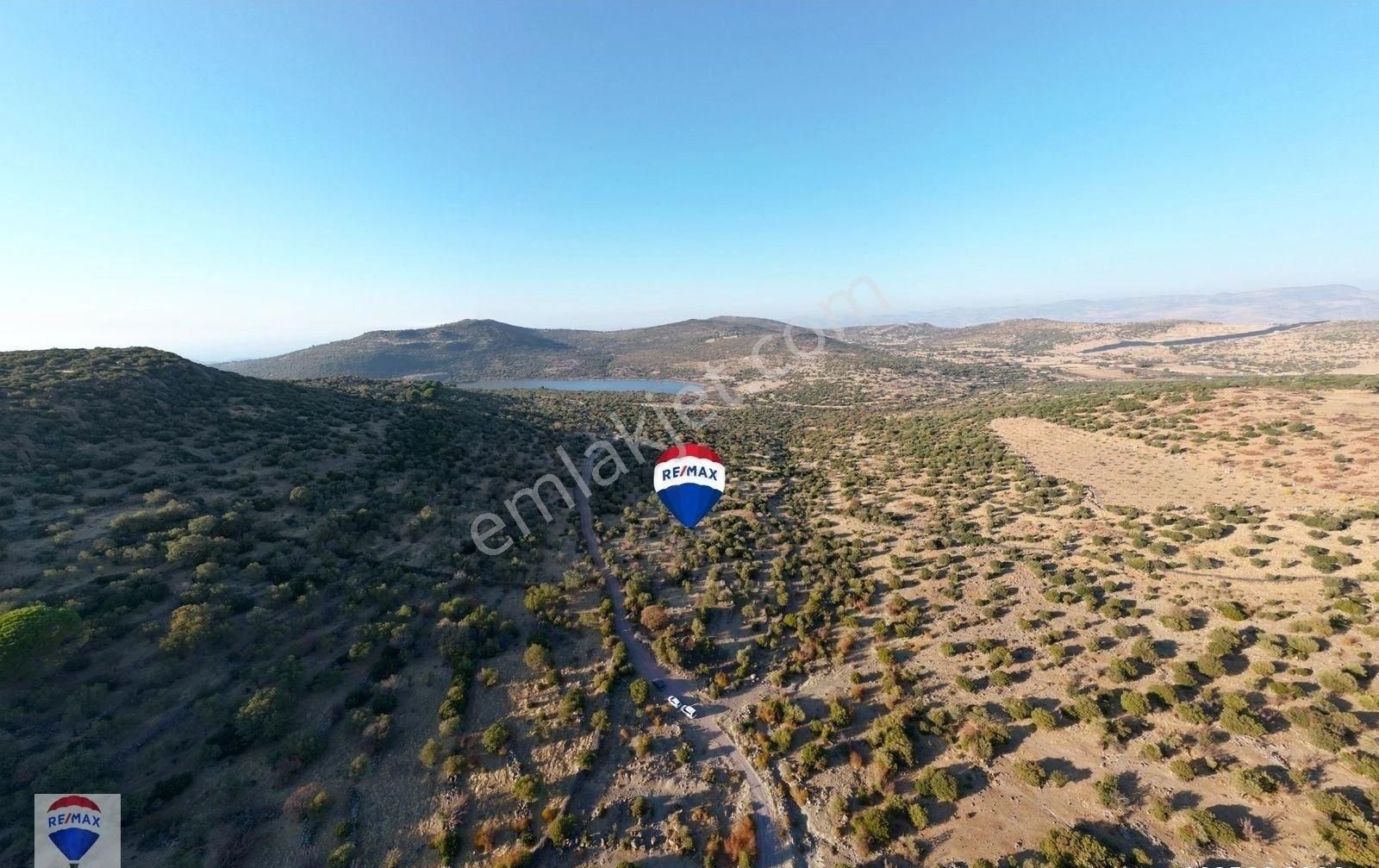 Dikili Katıralanı Satılık Tarla Dikili Katıralanı Köyünde Yatırımlık Zeytinli Tarla