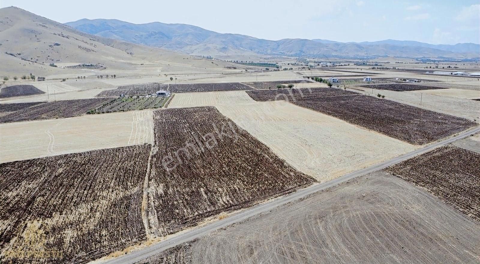 Elazığ Merkez Doğankuş Köyü Satılık Tarla Doğankuş Köyünde Satılık Fırsat Tarla