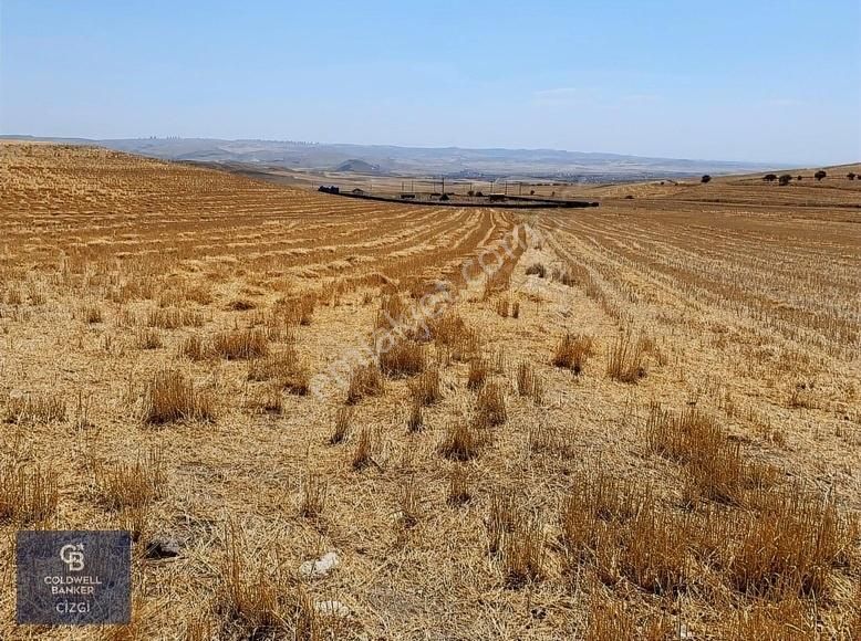 Ayaş Gökler Satılık Tarla Ankara Ayaş Göklerde Satılık Tek Tapu 19.476 m2 Tarla