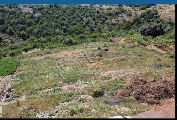 Erdemli Esenpınar Satılık Tarla Sahibinden Müstakil Tapulu Arsa