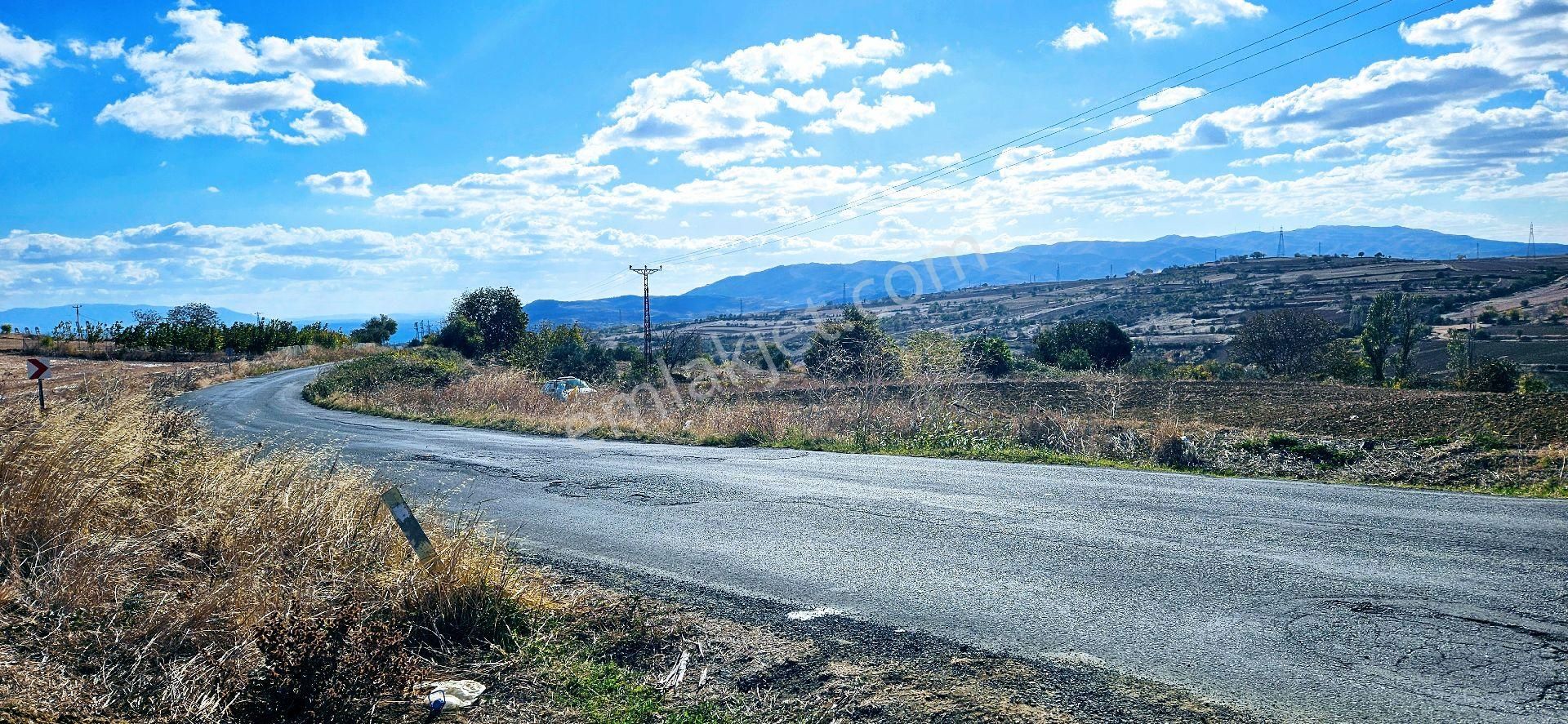 Tekirdağ Süleymanpaşa Satılık Tarla TEKİRDAĞ BARBAROSTA REZERVE KONUT IÇINDE 13 KİŞI ORTAK OLARAK ORTAKLAŞA ALABILCEGİNIZ YER