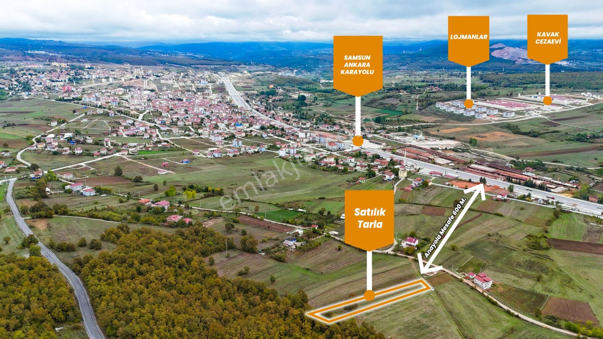 Kavak Yaşar Doğu Satılık Tarla Ev Yapmaya Uygun Yolu Olan 1520 M2 Tarla