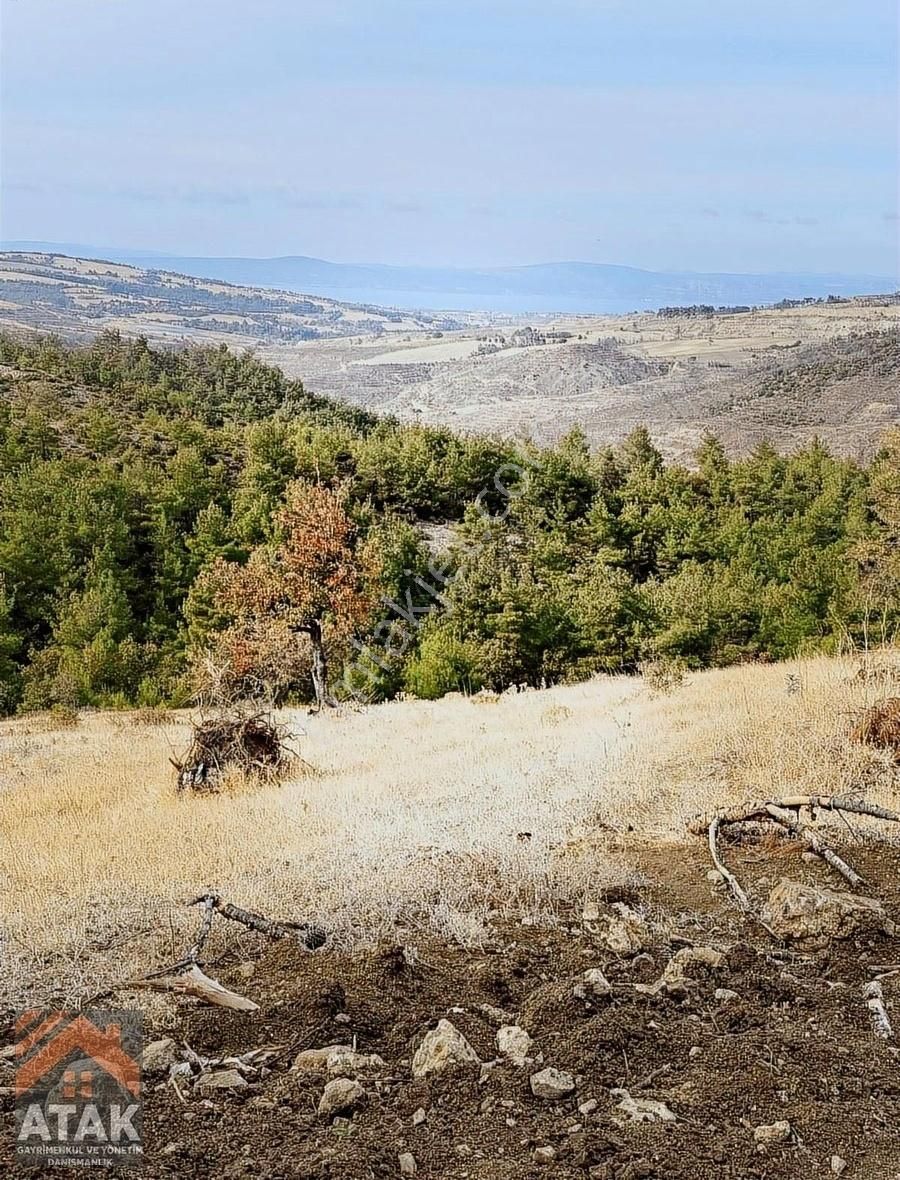 Çanakkale Merkez Mareşalfevziçakmak Köyü (Mareşal Fevzi Çakmak) Satılık Tarla DENİZ VE ORMAN MANZARALI GENİŞ ARAZİ MAREŞAL FEVZI ÇAKMAK