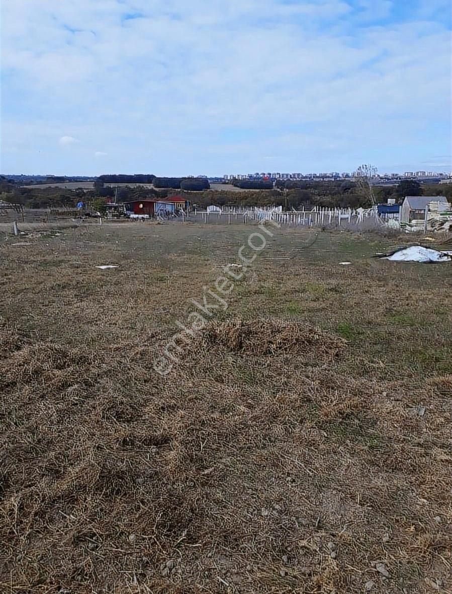 Büyükçavuşlu Da İmar Bitişiği Alt Yapılı Tarla - Görsel 6