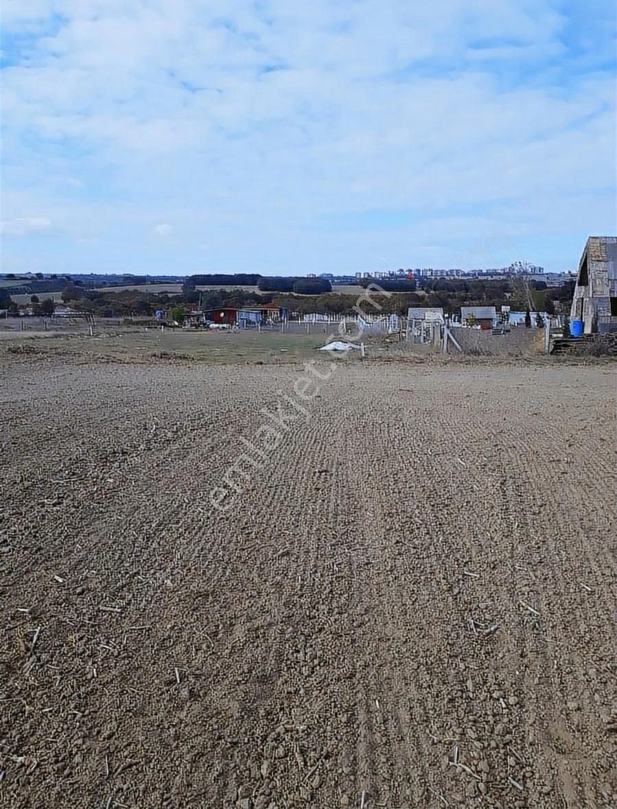 Büyükçavuşlu Da İmar Bitişiği Alt Yapılı Tarla - Görsel 3