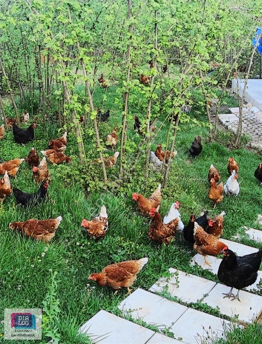 Karasu İncilli Satılık Müstakil Ev Hayalinizdeki Evi Sizin İçin Bulduk