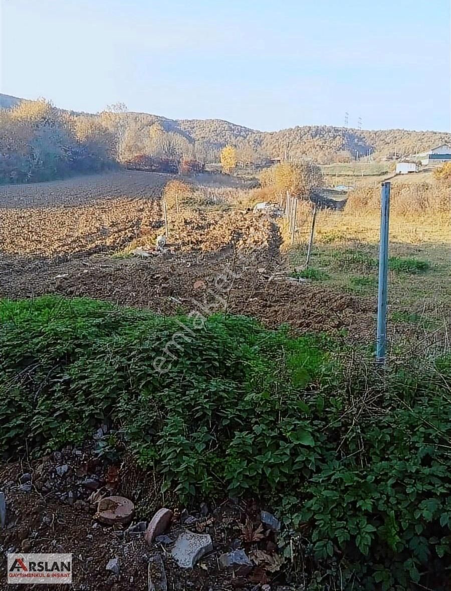 Körfez Alihocalar Satılık Tarla KOCAELİ KÖRFEZ ALİHOCALAR KÖYÜNDE 242 m2 HOBİ BAHÇESİ