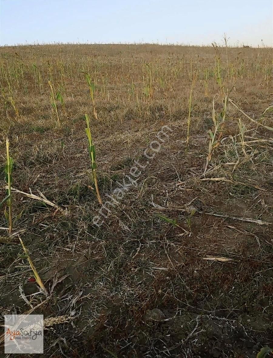 Malkara Davuteli Satılık Tarla TEKİRDAĞ MALKARADA 27.000 m2 TARLA