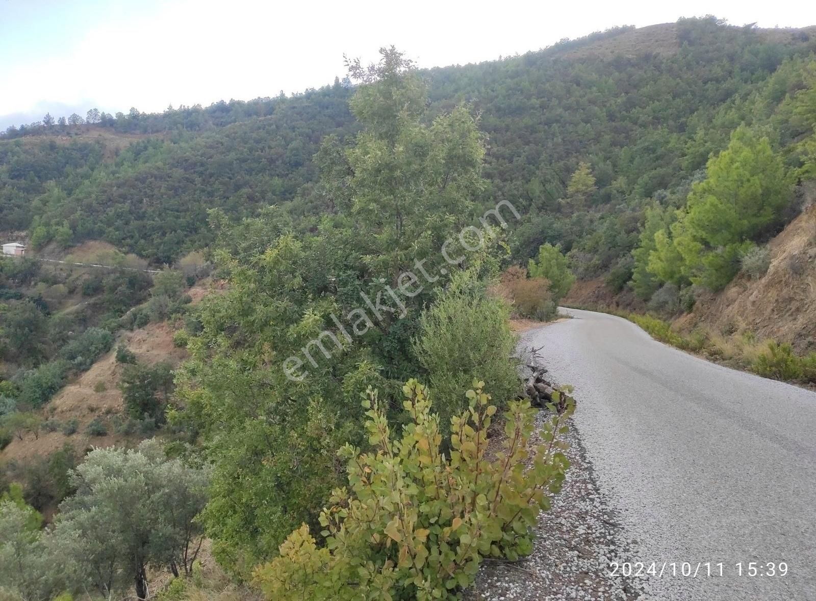 Alanya Çamlıca Da Kupon 759 M² Tarla - Görsel 2