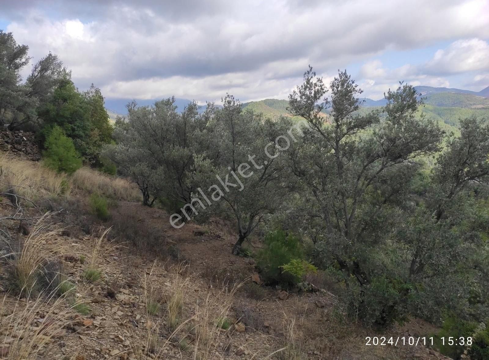 Alanya Çamlıca Da Kupon 759 M² Tarla - Görsel 7