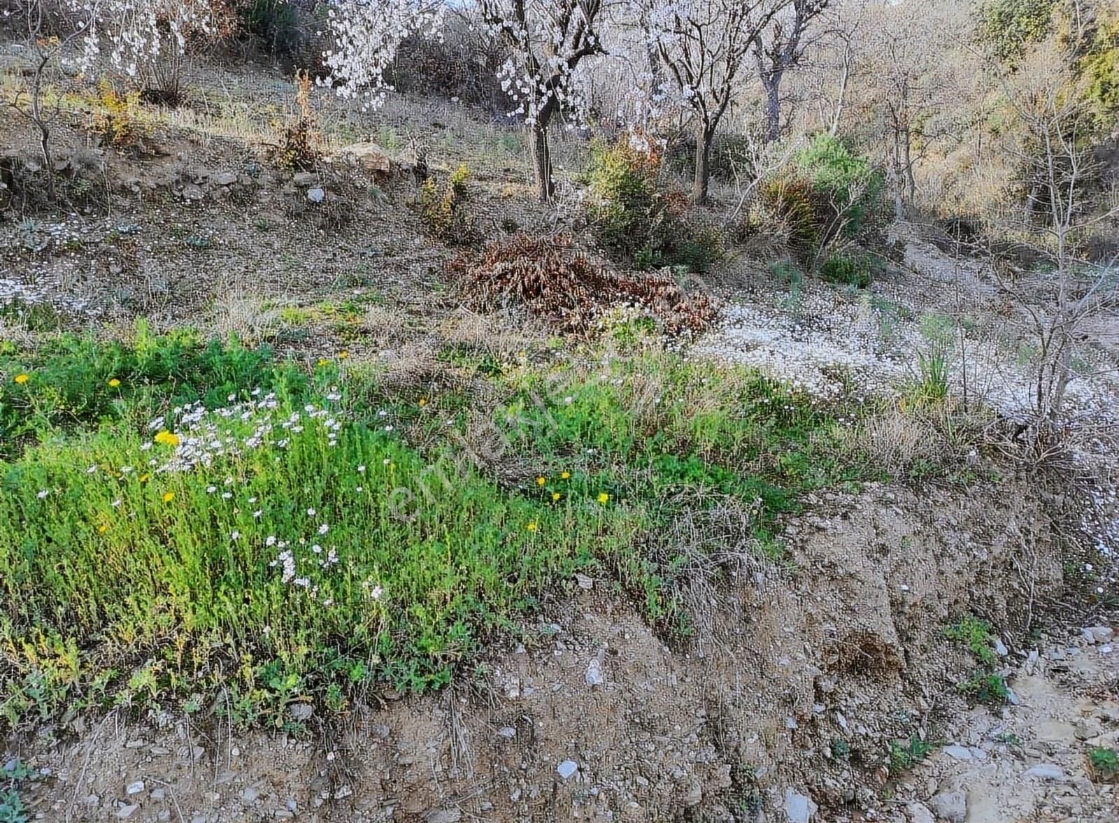 Alanya Güney Satılık Tarla ALANYA GÜNEYKÖY DE KÖYİÇİ İMARLI TARLA