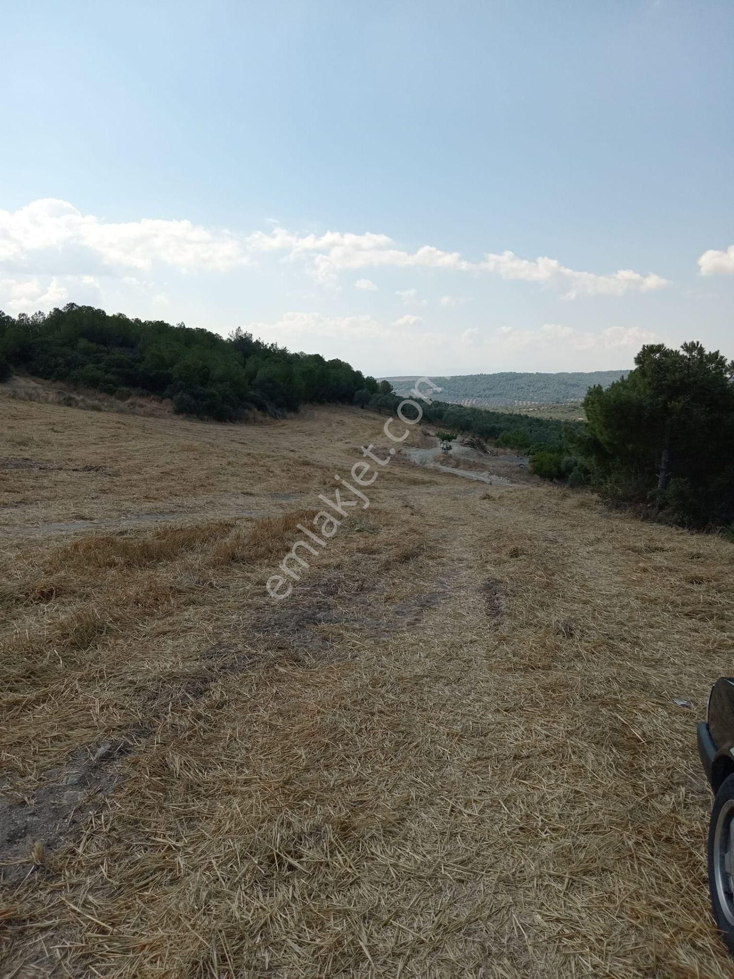 Aliağa Bozköy Satılık Tarla Aliağa Bozköy Satılık Tarla