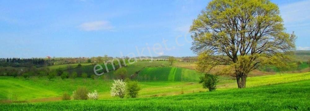 Gebze Denizli Satılık Tarla Gebze Denizli Köyü'nde İmar Dibinde Arazi