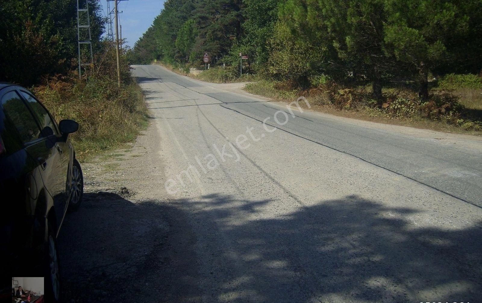 Şile Şuayipli Satılık Muhtelif Arsa Acil Satılık Arazi.