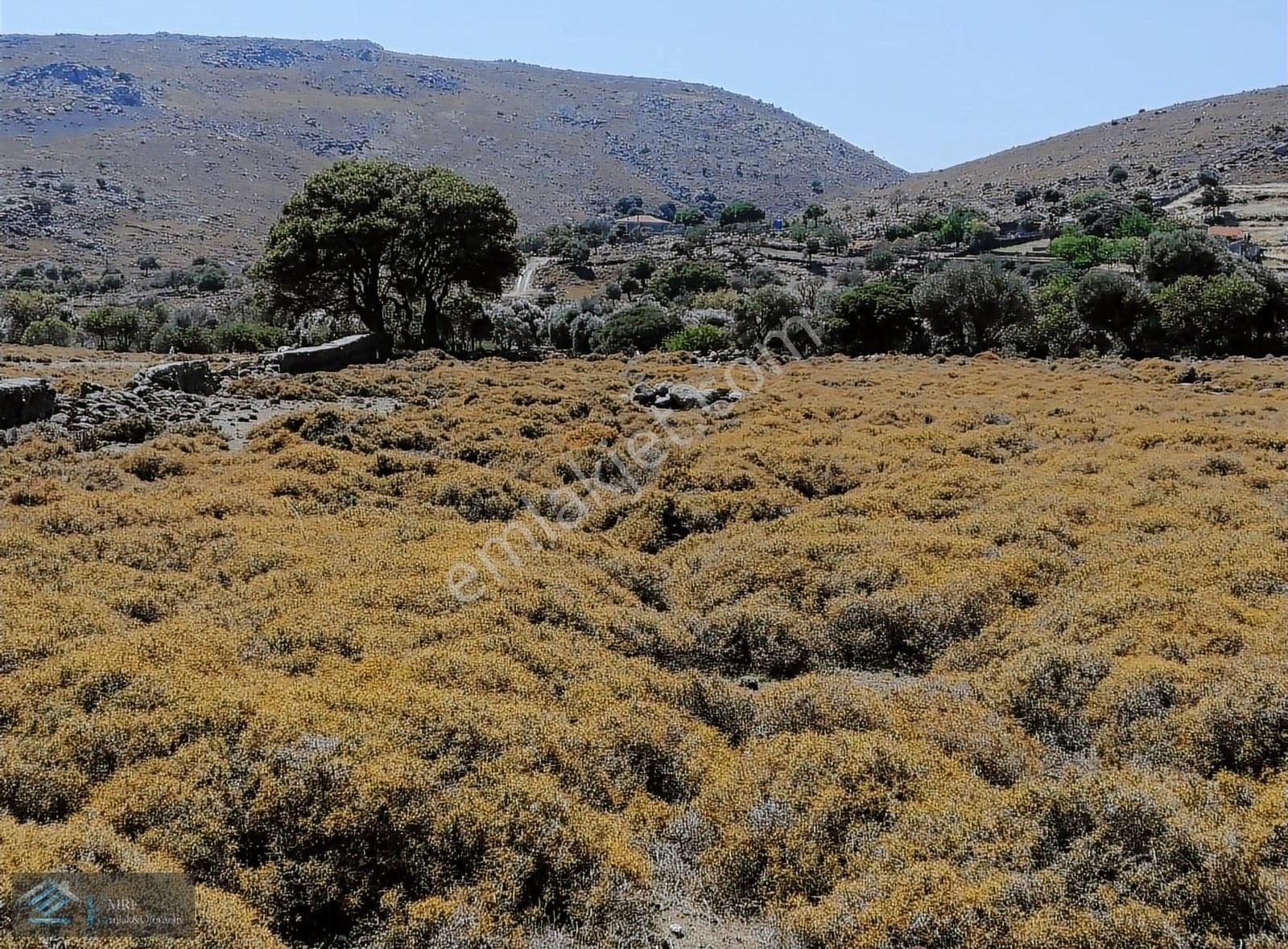 Çanakkale Gökçeada Satılık Turizm İmarlı GÜZELCEKOYDA TRUZİM İMARINDA DENİZ MANZARALI 5 DÖNÜM