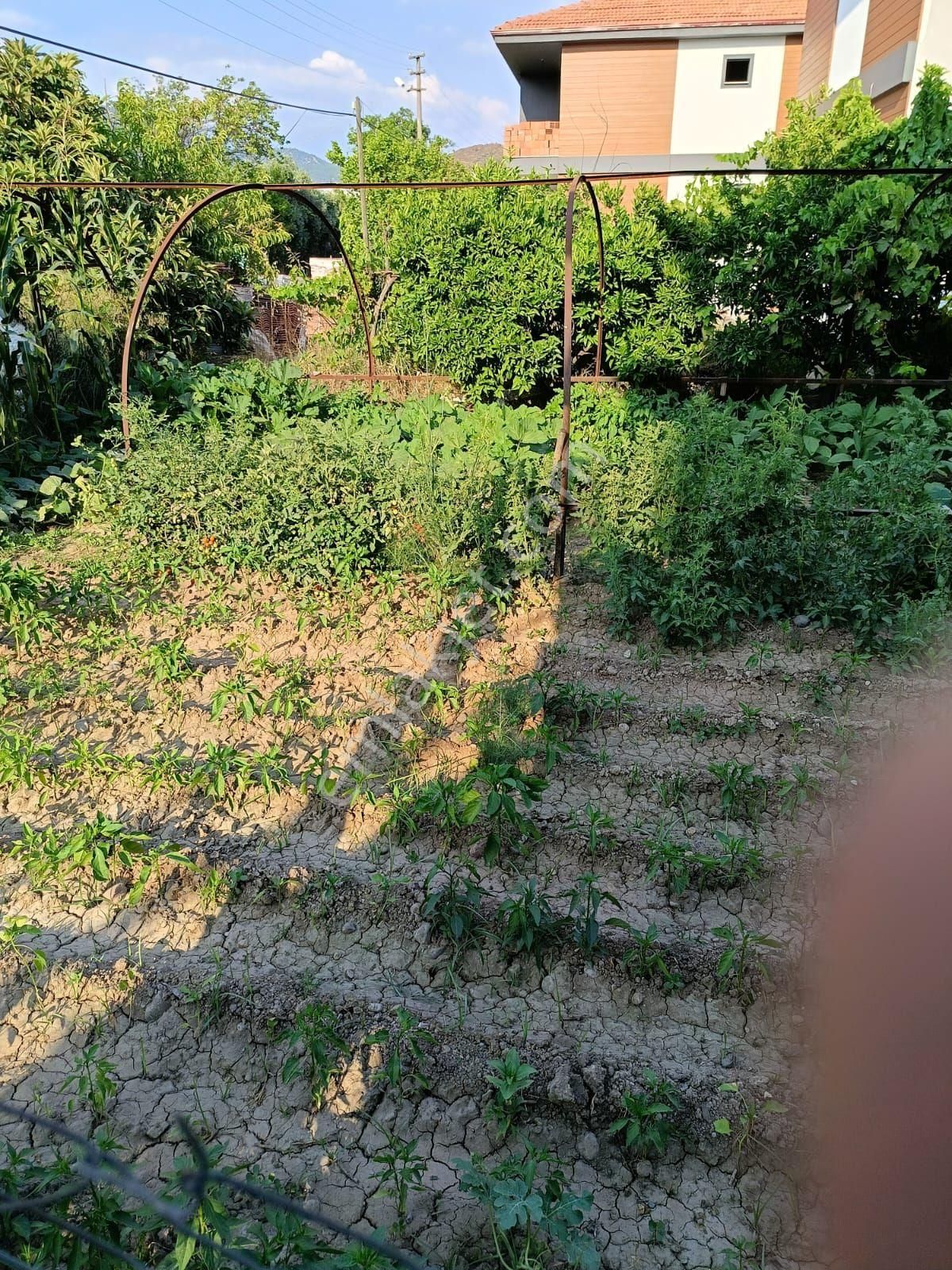 Yerbelen Mahallesi Satılık Kapalı Mutfak Daire