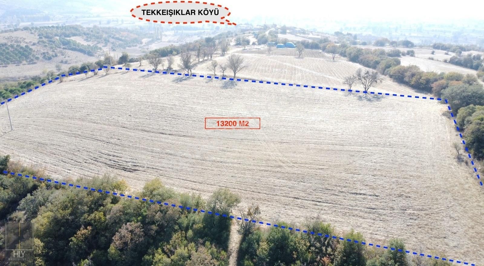 Kepsut Tekkeışıklar Satılık Tarla HLY GAYRİMENKULDEN TEKKEIŞIKLAR MAH.DE 13.200M2 SATILIK TARLA