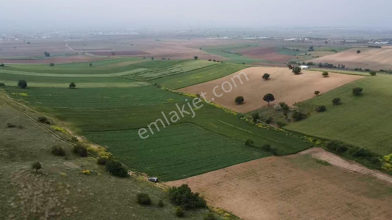 Yenişehir Cihadiye Satılık Tarla İstanbul House'dan Yenişehir Cihadiye'de Satılık 7884m2 Tarla