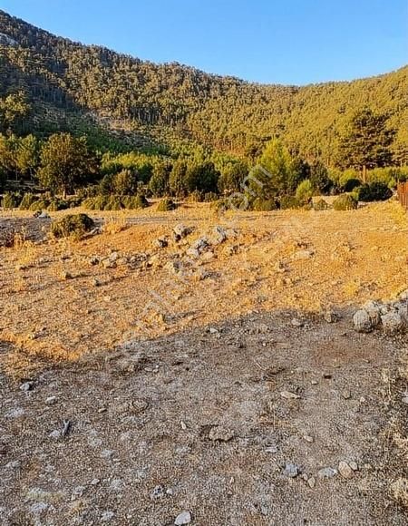 Fethiye Karaağaç Satılık Tarla Karağaç kurucan mevkinde satılık müthiş arsa