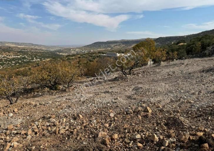 Şehitkamil Dündarlı Satılık Tarla  Dündarlı - şehitkamil'de  mahallesinde Kuzeyşehir imarı dibinde.