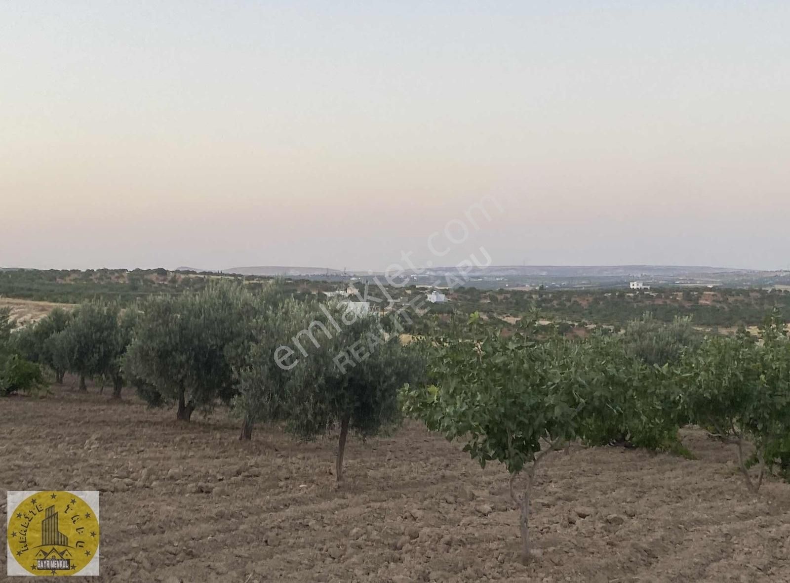 Karaköprü Maşuk Satılık Bağ & Bahçe Maşukta imara yakın acil satılık