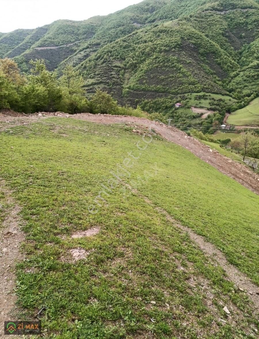 Alaçam Demircideresi Satılık Tarla ACİL ALAÇAM DEMİRCİDERESİ YATIRIMLIK TARLA