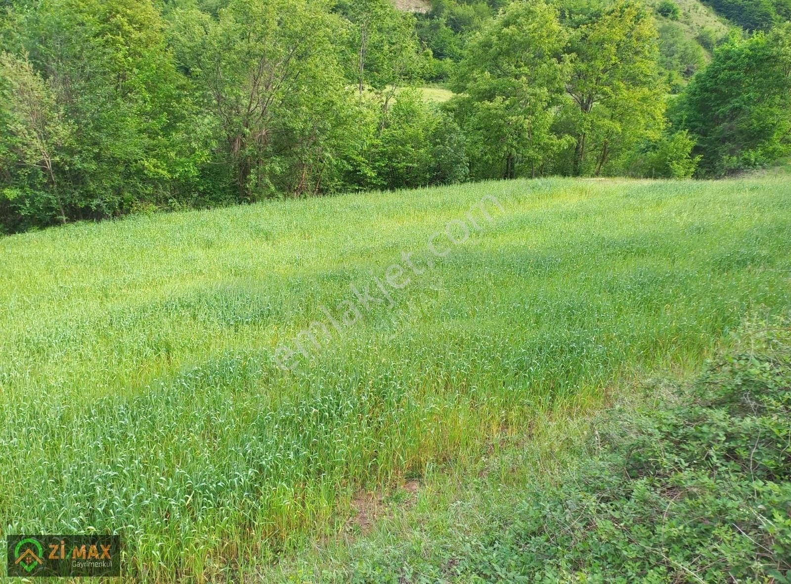 Yakakent Kayalı Satılık Tarla ACİL SAMSUN YAKAKENT KAYALIDA YATIRIMLIK UYGUN TARLA