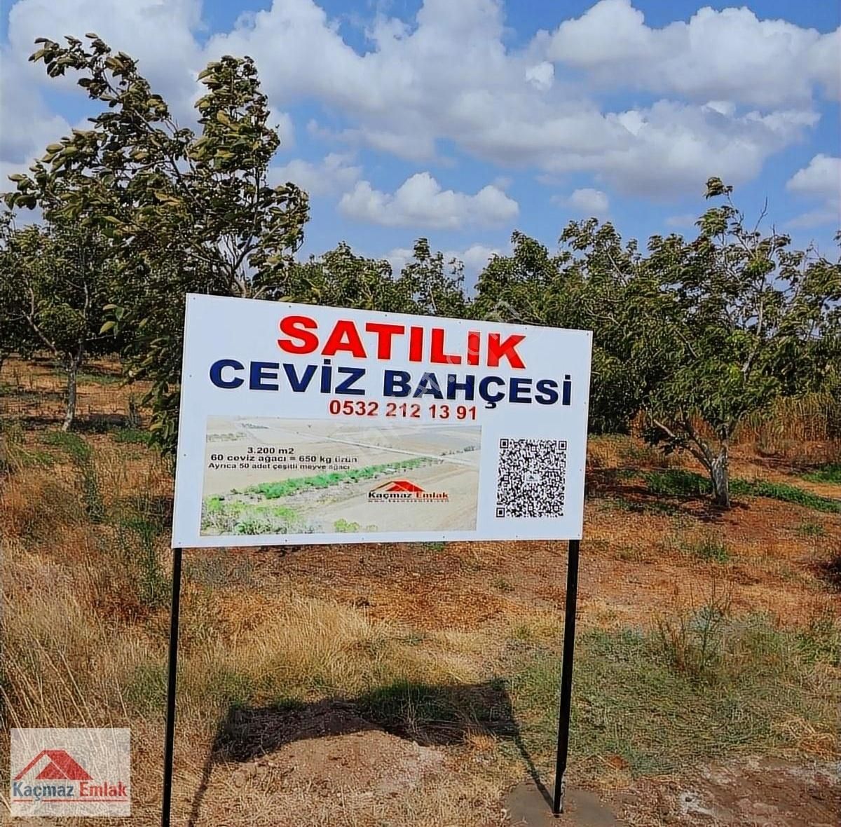 Biga Yeniçiftlik Köyü (Ece) Satılık Bağ & Bahçe BİGA YENİÇİFTLİK KÖYÜNDE YOL ÜSTÜ SATILIK 3.200 M2 CEVİZ BAHÇESİ