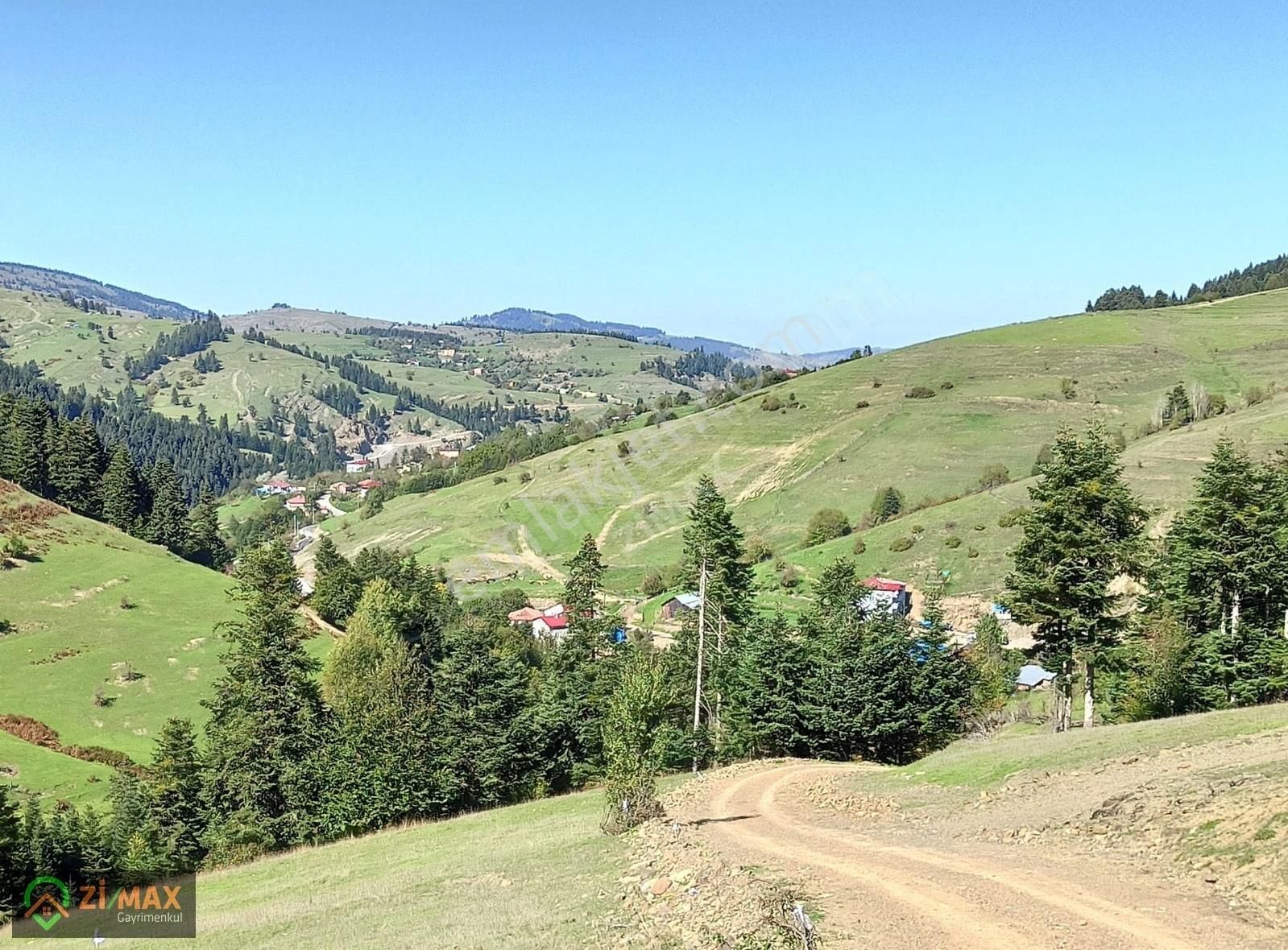 Alaçam Uzunkıraç Satılık Tarla SAMSUN ALAÇAMDA YATIRIMLIK 6755 M2 TARLA